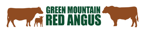 Green Mountain Red Angus